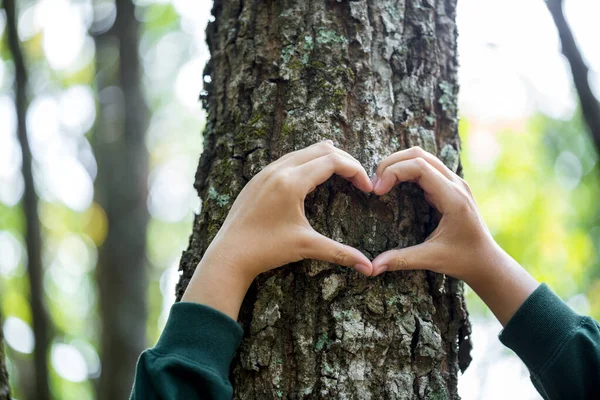 Hands hugging trees on world environment day. Woman in the woods hugging a tree with her arms. Earth Day concept. People must save the planet from deforestation. carbon dioxide and global warming.