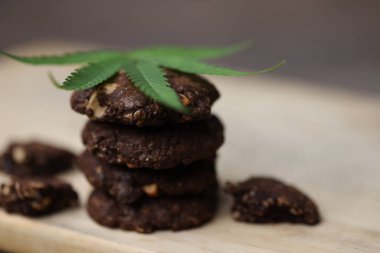 Kenevir ya da marihuana kurabiyeleri CBD ile yapılan lezzetli ev yapımı kurabiyelerdir. Ve yaprak süslemesi. Tıbbî Yenilebilir. Tıbbi marihuana tedavisi. Kenevir yeşildir, bitkisel ilaçlar sağlıklıdır..