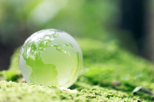 Globe Planet Glass Green Forest Bokeh Nature Lights World Environment — ストック写真