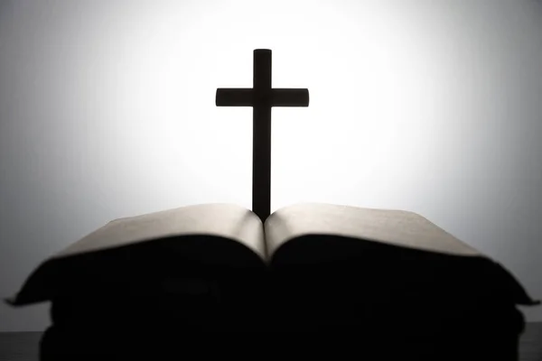 Spiritualità Religione Speranza Concetto Silhouette Bianco Nero Con Sacra Bibbia — Foto Stock