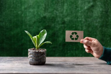 Kadın elinde plastik şişelerle birlikte bir geri dönüşüm tabelası, ahşap masaya sebze dikmek için su DIY, yeşil arka planda dekorasyon, yeniden kullanım ve geri dönüşüm kavramları..