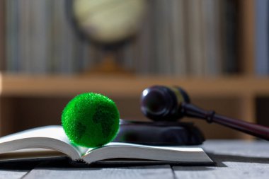 Çevre hukuku, yasanın çevreye koruma sağlayan yönlerini kapsayan kolektif bir terimdir. Küresel doğa hukuku ve çevresel yargı kavramı.