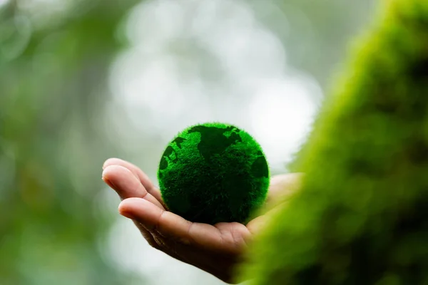 Hands holding green globe in green forest. Forest conservation concept. Environment concept. Elements of this image furnished by NASA