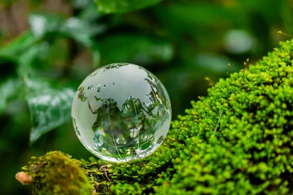 Environment. Glass globe on grass moss in forest, Green planet with abstract defocused bokeh lights, Environmental conservation concept. Elements of this image furnished by NASA