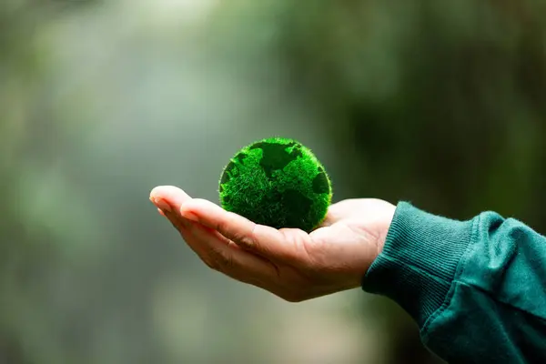 Hands holding green globe in green forest. Forest conservation concept. Environment concept. Elements of this image furnished by NASA