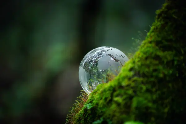 Umwelt Glaskugel Auf Grasmoos Wald Grüner Planet Mit Abstrakten Defokussierten — Stockfoto
