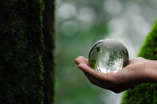 Hands Holding Globe Glass In Green Forest. Forest conservation concept. Environment Concept. elements of this image furnished by NASA