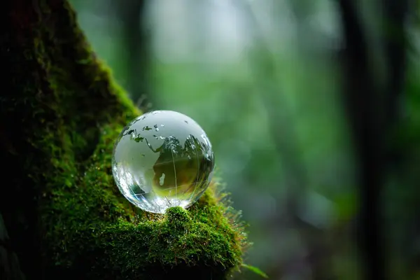 Environment. Glass globe on grass moss in forest, Green planet with abstract defocused bokeh lights, Environmental conservation concept. Elements of this image furnished by NASA