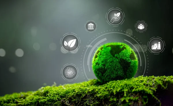 Protecting globe of green tree on nature background, ecology and environment. Green earth ESG icon for Environment Social and Governance, World sustainable environment concept.