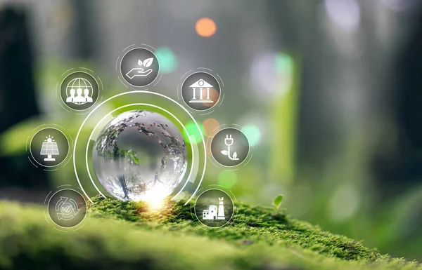 Esg Ikon Koncepció Zöld Moha Környezetvédelmi Szociális Irányítási Fenntartható Etikus Stock Kép