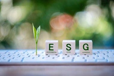 Çevreye, topluma, yönetime yatırım. ESG Endüstriyel Yatırım. Yeşil enerji yerine altın sikkeler büyüyor. ESG Ortak Fonları Tasarruf Konsepti, Sürdürülebilir İş.