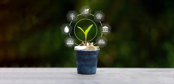 Grow plant with eco icon symbolize natural preservation for future sustainable generation by growing plant to reduce carbon emission and using ESG green technology. Environment icon concept.