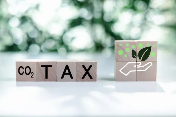 Palavras Tax Cubo Madeira Com Ícone Co2 Fiscalidade Pela Poluição — Fotografia de Stock