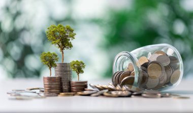 Ağaç dikmenin çevresel faydalarını hesaba katan yeşil vergi kavramı, ekonomik büyümeyi ekolojik sağlıkla dengelemek, sürdürülebilir bir ekonomi içinde hem gelir hem de zenginliği artırmak.