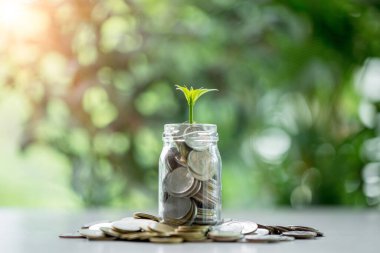 Yeşil finans kavramı, büyümenin tohumlarını para ve sikkeleri özel fon kavanozuna koyarak ekmeye başladı. para, bitki, fon, para, iş, büyüme, yeşil, finans.