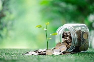Yeşil finansman kavramı gelişen işletmeler para ve sikkeleri sürdürülebilir girişimlere yatırır, doğa dostu projelerin büyümesini sağlar ve refah dolu bir geleceği güvence altına alır. yeşil finans büyümesi.