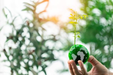 Sürdürülebilir enerji ve yeşil uygulamaların desteklenmesi, Dünya 'nın çevresel kaynaklarının korunması ve sağlıklı bir küresel ekolojinin sağlanması için gereklidir. toprak, eko, çevre, sürdürülebilir, yeşil.