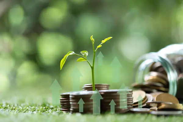 Yeşil finansman kavramı gelişen işletmeler para ve sikkeleri sürdürülebilir girişimlere yatırır, doğa dostu projelerin büyümesini sağlar ve refah dolu bir geleceği güvence altına alır. yeşil finans büyümesi.