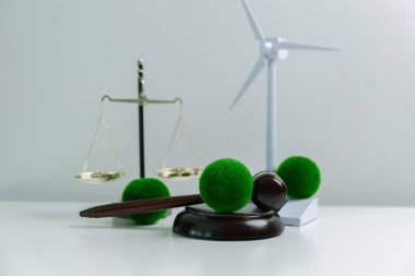 Dünya 'nın korunması için yeşil mevzuatı desteklemek için hukuki işlemler ve mahkeme işlemleri yoluyla adalet ve sürdürülebilirlik savunucuları konusunda uzman bir avukat. Kural, ekosistem