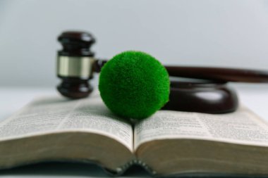 Dünya 'nın korunması için yeşil mevzuatı desteklemek için hukuki işlemler ve mahkeme işlemleri yoluyla adalet ve sürdürülebilirlik savunucuları konusunda uzman bir avukat. Kural, ekosistem