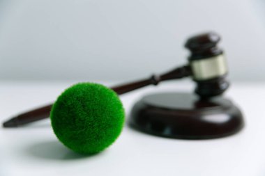 Dünya 'nın korunması için yeşil mevzuatı desteklemek için hukuki işlemler ve mahkeme işlemleri yoluyla adalet ve sürdürülebilirlik savunucuları konusunda uzman bir avukat. Kural, ekosistem