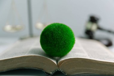 Dünya 'nın korunması için yeşil mevzuatı desteklemek için hukuki işlemler ve mahkeme işlemleri yoluyla adalet ve sürdürülebilirlik savunucuları konusunda uzman bir avukat. Kural, ekosistem
