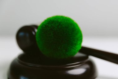 Dünya 'nın korunması için yeşil mevzuatı desteklemek için hukuki işlemler ve mahkeme işlemleri yoluyla adalet ve sürdürülebilirlik savunucuları konusunda uzman bir avukat. Kural, ekosistem