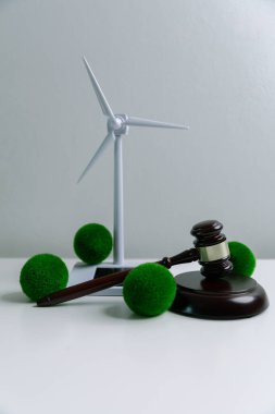 Dünya 'nın korunması için yeşil mevzuatı desteklemek için hukuki işlemler ve mahkeme işlemleri yoluyla adalet ve sürdürülebilirlik savunucuları konusunda uzman bir avukat. Kural, ekosistem