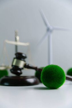 Dünya 'nın korunması için yeşil mevzuatı desteklemek için hukuki işlemler ve mahkeme işlemleri yoluyla adalet ve sürdürülebilirlik savunucuları konusunda uzman bir avukat. Kural, ekosistem