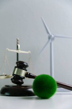 Dünya 'nın korunması için yeşil mevzuatı desteklemek için hukuki işlemler ve mahkeme işlemleri yoluyla adalet ve sürdürülebilirlik savunucuları konusunda uzman bir avukat. Kural, ekosistem