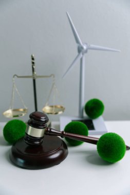 Dünya 'nın korunması için yeşil mevzuatı desteklemek için hukuki işlemler ve mahkeme işlemleri yoluyla adalet ve sürdürülebilirlik savunucuları konusunda uzman bir avukat. Kural, ekosistem