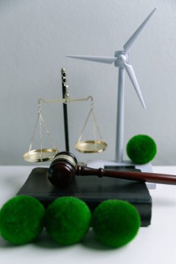 Dünya 'nın korunması için yeşil mevzuatı desteklemek için hukuki işlemler ve mahkeme işlemleri yoluyla adalet ve sürdürülebilirlik savunucuları konusunda uzman bir avukat. Kural, ekosistem