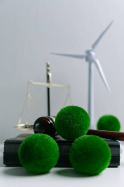 Dünya 'nın korunması için yeşil mevzuatı desteklemek için hukuki işlemler ve mahkeme işlemleri yoluyla adalet ve sürdürülebilirlik savunucuları konusunda uzman bir avukat. Kural, ekosistem