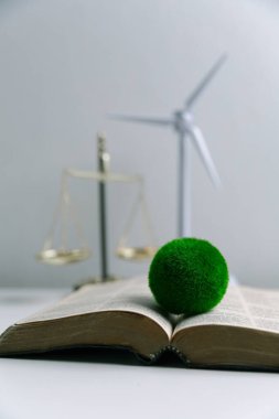 Avukat, dünya ve dünya için adalet ve sürdürülebilirlik sağlamak için mahkemede yeşil yasayı savunuyor. uygulama, ekosistem, eko, iklim değişikliği, savunma, uyum, enerji, denge, eylem