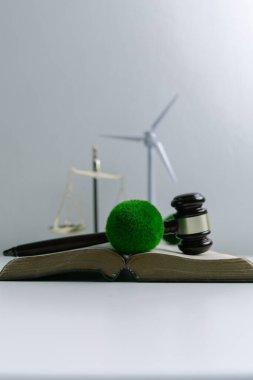 Avukat, dünya ve dünya için adalet ve sürdürülebilirlik sağlamak için mahkemede yeşil yasayı savunuyor. uygulama, ekosistem, eko, iklim değişikliği, savunma, uyum, enerji, denge, eylem