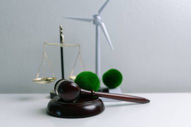 Avukat, dünya ve dünya için adalet ve sürdürülebilirlik sağlamak için mahkemede yeşil yasayı savunuyor. uygulama, ekosistem, eko, iklim değişikliği, savunma, uyum, enerji, denge, eylem
