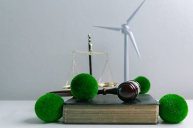 Avukat, dünya ve dünya için adalet ve sürdürülebilirlik sağlamak için mahkemede yeşil yasayı savunuyor. uygulama, ekosistem, eko, iklim değişikliği, savunma, uyum, enerji, denge, eylem