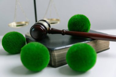 Avukat, dünya ve dünya için adalet ve sürdürülebilirlik sağlamak için mahkemede yeşil yasayı savunuyor. uygulama, ekosistem, eko, iklim değişikliği, savunma, uyum, enerji, denge, eylem