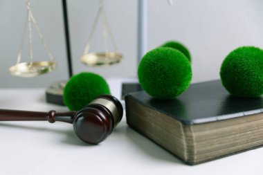 Avukat, dünya ve dünya için adalet ve sürdürülebilirlik sağlamak için mahkemede yeşil yasayı savunuyor. uygulama, ekosistem, eko, iklim değişikliği, savunma, uyum, enerji, denge, eylem