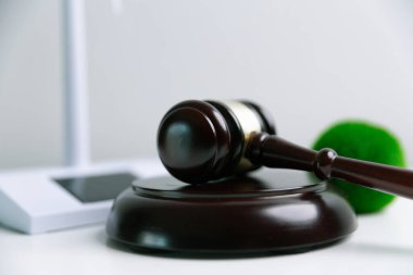 Avukat, dünya ve dünya için adalet ve sürdürülebilirlik sağlamak için mahkemede yeşil yasayı savunuyor. uygulama, ekosistem, eko, iklim değişikliği, savunma, uyum, enerji, denge, eylem