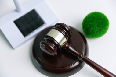 Avukat, dünya ve dünya için adalet ve sürdürülebilirlik sağlamak için mahkemede yeşil yasayı savunuyor. uygulama, ekosistem, eko, iklim değişikliği, savunma, uyum, enerji, denge, eylem