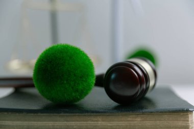 Avukat, dünya ve dünya için adalet ve sürdürülebilirlik sağlamak için mahkemede yeşil yasayı savunuyor. uygulama, ekosistem, eko, iklim değişikliği, savunma, uyum, enerji, denge, eylem