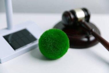 Avukat, dünya ve dünya için adalet ve sürdürülebilirlik sağlamak için mahkemede yeşil yasayı savunuyor. uygulama, ekosistem, eko, iklim değişikliği, savunma, uyum, enerji, denge, eylem