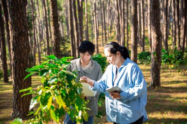 Kahve çekirdeğini hasat et olgunlaşmış kırmızı böğürtlen dizüstü bilgisayarda kalite kontrollü kahve ağacını kontrol et. Akıllı çiftçi yeşil kahve çiftliğinde dizüstü bilgisayar kullanıyor sürdürülebilir kalite kontrol tarım teknolojisi