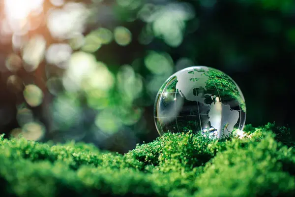 Doğayı korumak ve sürdürülebilir kılmak için ormandaki yeşil yosunların üzerindeki kristal küre camı. Çevre ekolojisi ve Dünya Günü kavramı. Çevre ve EGG. ekolojik sürdürülebilirlik
