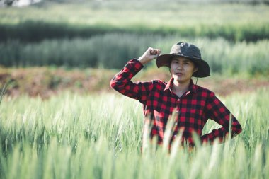Buğday çiftçisi hasat iş konsepti tarım tarım tarımı veri arpasını analiz eden gıda tarlası tahıl tarımı akıllı çiftçi modern büyüme kontrolü organik yaz geçmişi bulanıklığı