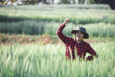 Buğday çiftçisi hasat iş konsepti tarım tarım tarımı veri arpasını analiz eden gıda tarlası tahıl tarımı akıllı çiftçi modern büyüme kontrolü organik yaz geçmişi bulanıklığı