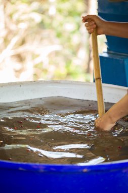 Akıllı çiftçi tekniklerini kapatın kahve makineleri kızartma aletleri kuru güneş ışınları güneş ışığı güneş ışığı taze bahçe tarımı çiftçi kavramı çiftliği arka planını bulanıklaştırıyor
