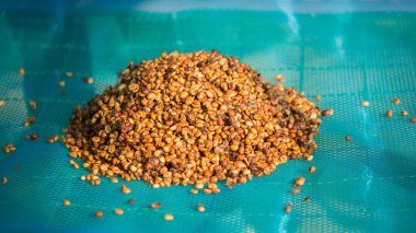 Akıllı çiftçilik teknikleri, kızartma makineleri kahve, güneş ışığı, güneş ışığı, güneş ışığı, tarım, çiftçi kavramını destekliyor.