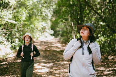 Sırt çantalı iki bayan arkadaş birlikte kırda yürüyüş yapıyorlar. Asyalı arkadaş kız sırt çantalı arkadaş ormanda birlikte seyahat eder. Yürüyüş yaparken mutlu ve güneşli bir gün..